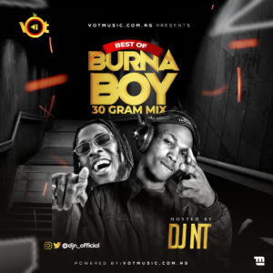 DJ NT Best Of Burna Boy 30 Gram Mix - Afrobeat Music Mix 2020