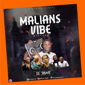 DJ Shizzy Malians Vibe Mixtape 2020 Mp3 Download