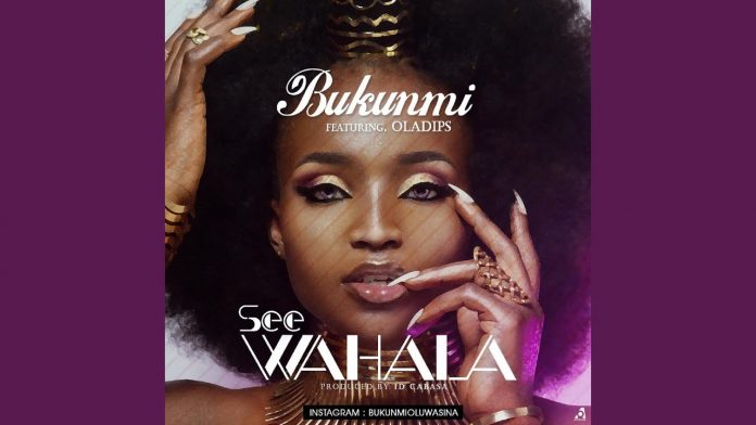 Best Of Bukunmi Oluwashina DJ Mix Mixtape - Bukunmi Oluwasina Songs Mixtape Audio Download