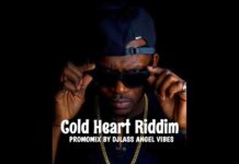 Best Of Cold Heart Riddim DJ Mix Mixtape Mp3 Download