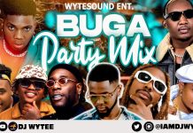 Best Of Buga Party DJ Mix Mixtape mp3 download
